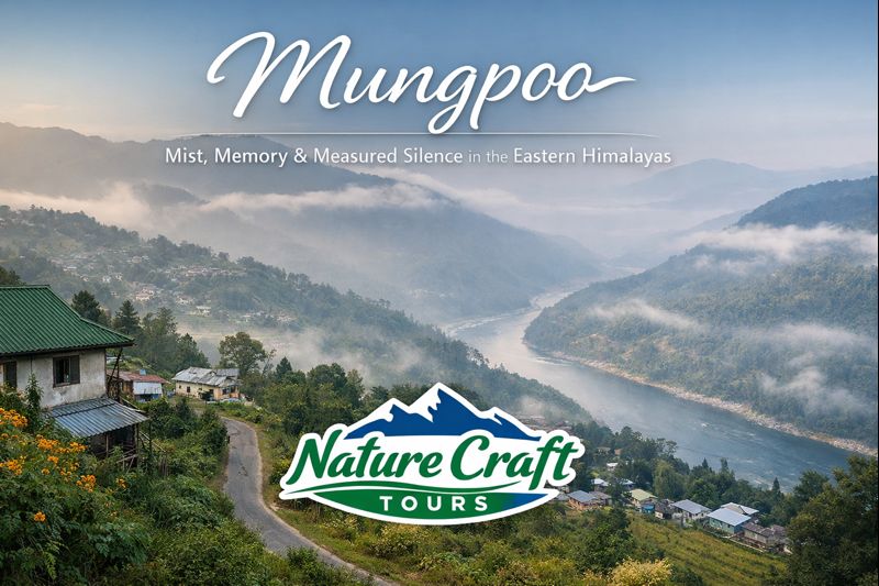 Mungpoo: A Rare Pause of Mist