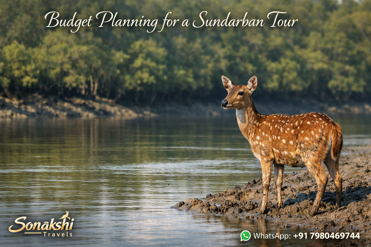 Budget Planning for a Sundarban Tour