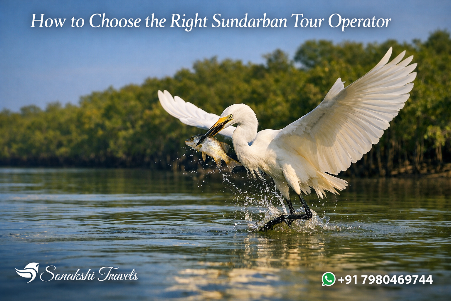 How to Choose the Right Sundarban Tour Operator
