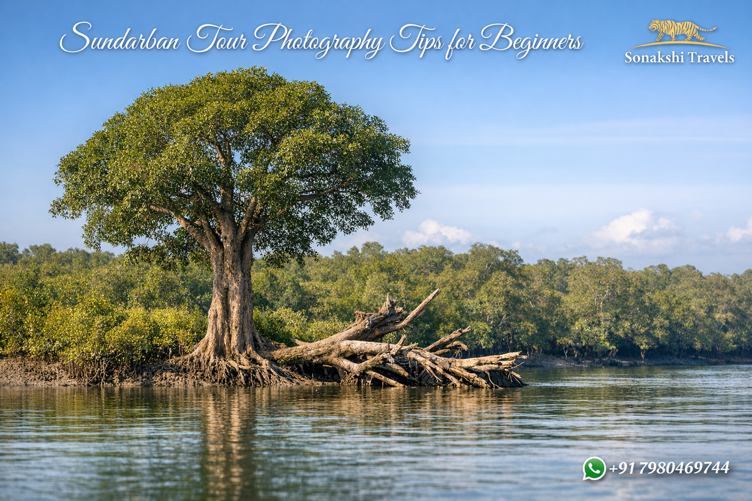 Sundarban Tour Photography Tips for Beginners