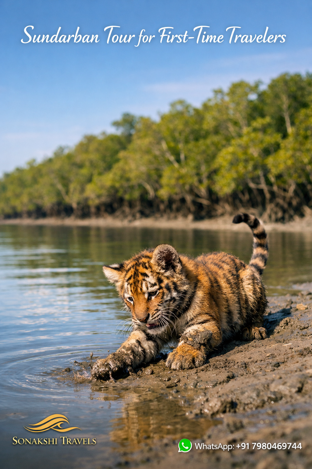 Sundarban Tour for First-Time Travelers