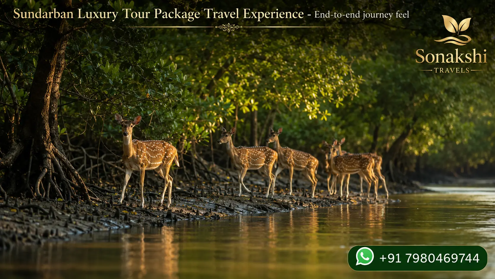 Sundarban Luxury Tour Package Travel Experience - End-to-end journey feel